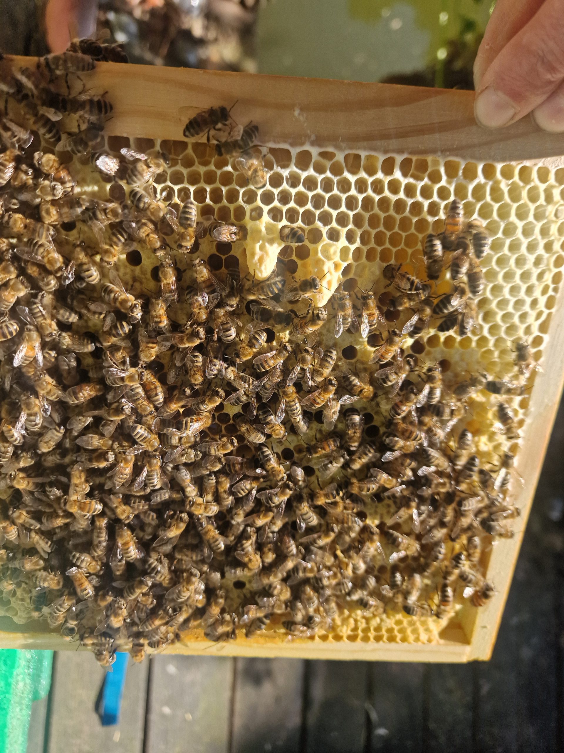 20250510 101322 Scaled E1760430203202