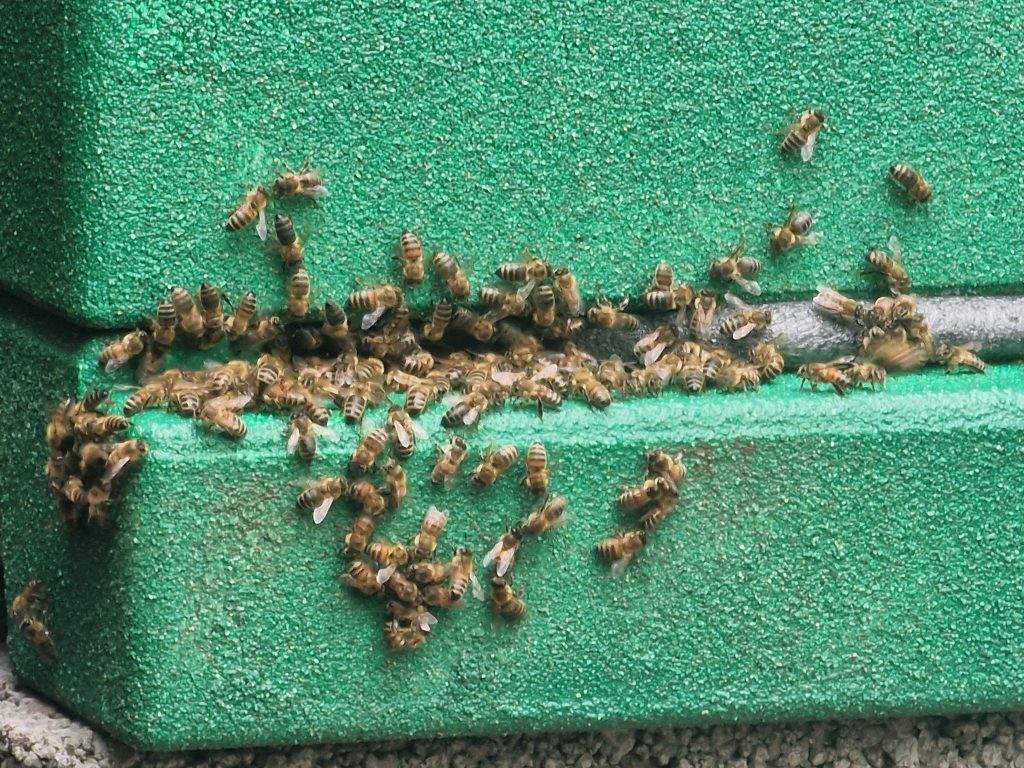 20250823 163117 1024x768