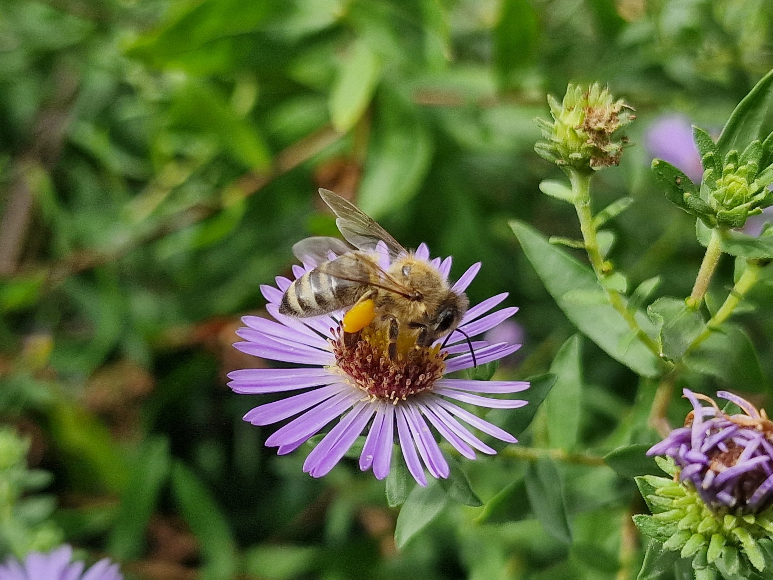 20250823 163239 1 Scaled