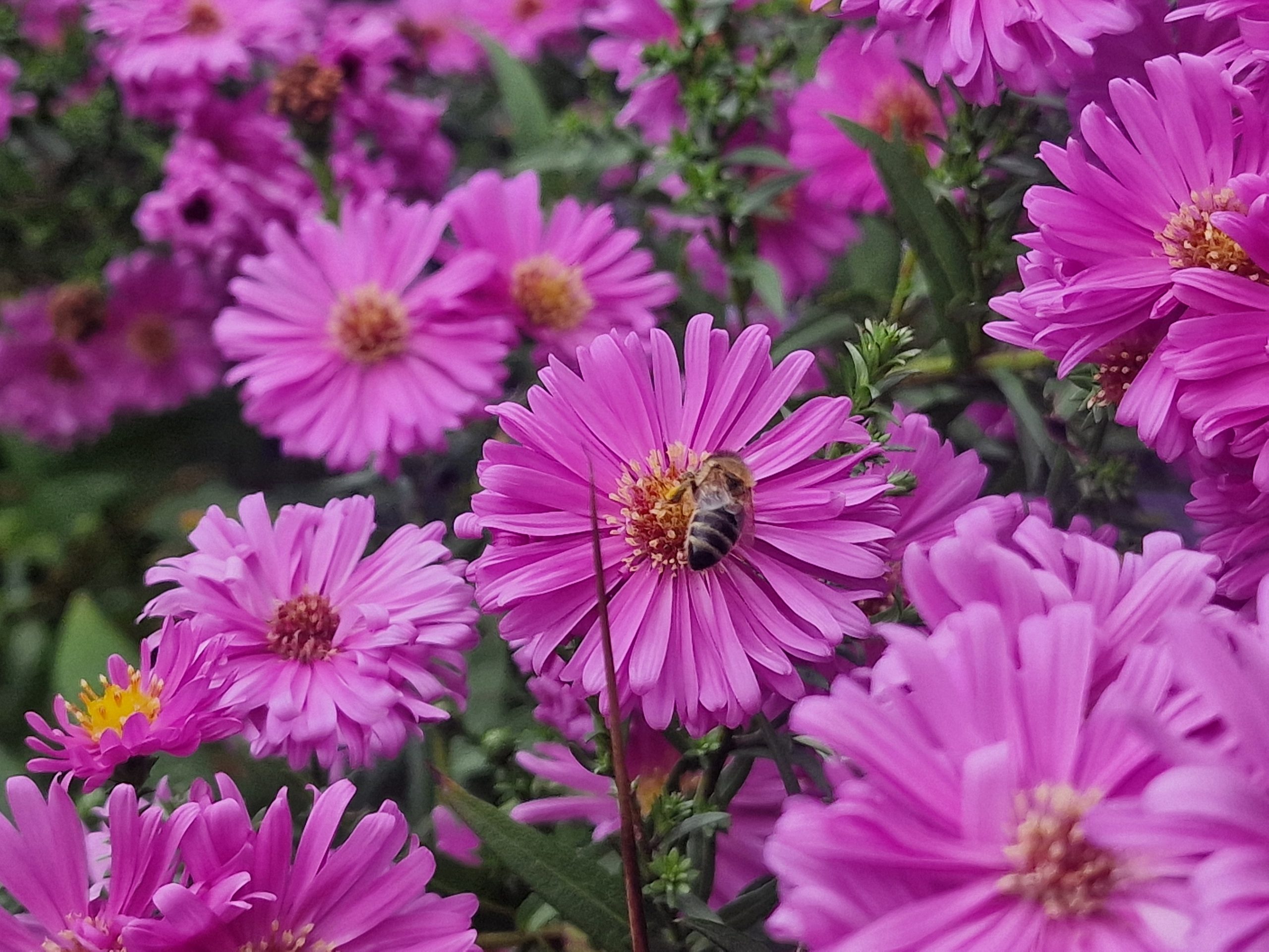 20251012 143158 Scaled